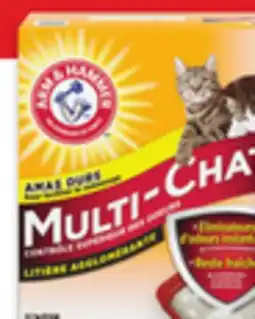 Walmart Arm & Hammer Clumping Cat offer