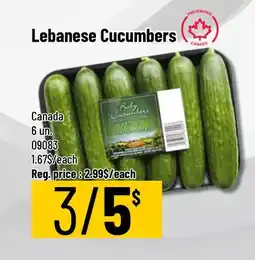 Mayrand Lebanese Cucumbers offer