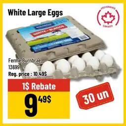 Mayrand White Large Eggs offer