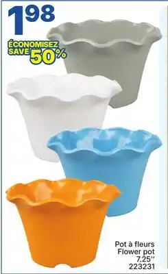 Rossy Flower pot offer