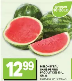 L'Intermarché MELON D'EAU SANS PÉPINS | SEEDLESS WATERMELON offer