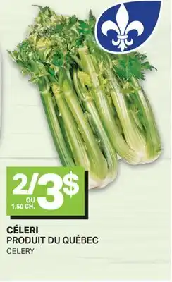 L'Intermarché CÉLERI | CELERY offer
