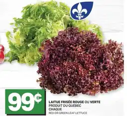 L'Intermarché LAITUE FRISÉE ROUGE OU Verte | RED OR GREEN LEAF LETTUCE offer