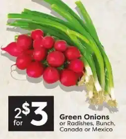 Quality Foods Green Onions offer