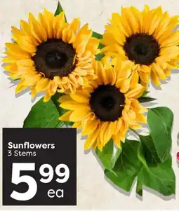 Quality Foods Sunflowers offer