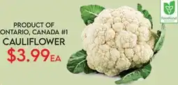 Fiesta Farms Cauliflower offer
