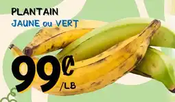 Marche Salaberry PLANTAIN JAUNE ou VERT offer