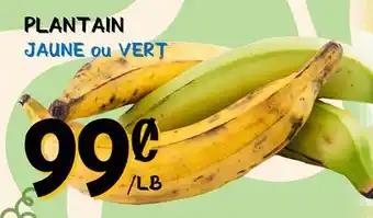 Marche Salaberry PLANTAIN JAUNE ou VERT offer