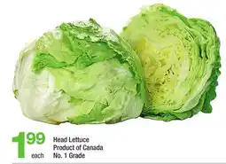Highland Farms Head Lettuce offer