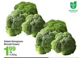 Highland Farms Ontario Homegrown Broccoli Crowns offer