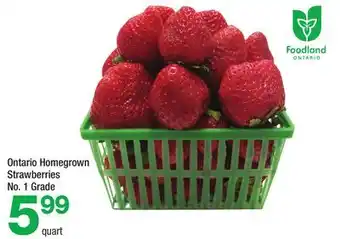 Highland Farms Ontario Homegrown Strawberries offer