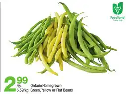 Highland Farms Ontario Homegrown Green, Yellow or Flat Beans offer