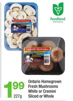 Highland Farms Ontario Homegrown Fresh Mushrooms offer