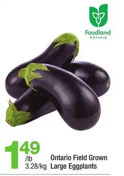 Highland Farms Ontario Field Grown Large Eggplants offer