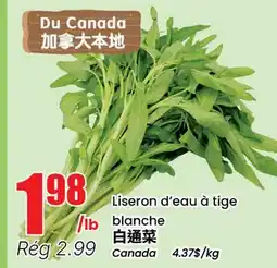 Btrust Supermarket Liseron d'eau à tige blanche offer