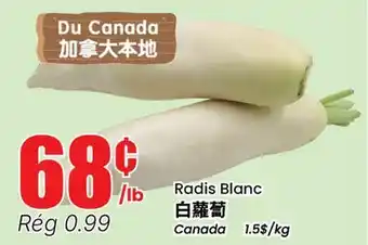 Btrust Supermarket Radis Blanc offer