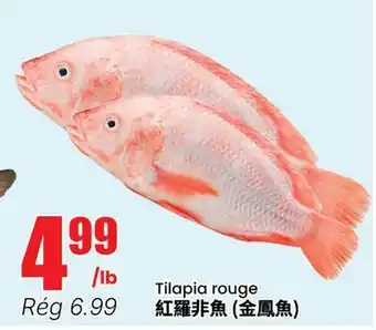 Btrust Supermarket Tilapia rouge offer