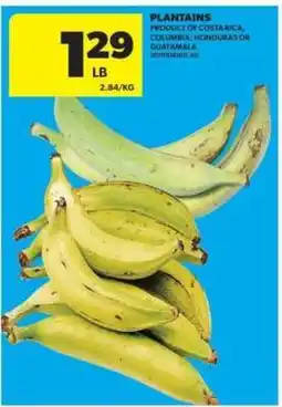 Real Canadian Superstore PLANTAINS offer