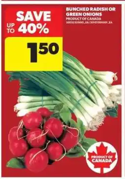 Real Canadian Superstore BUNCHED RADISH or GREEN ONIONS offer