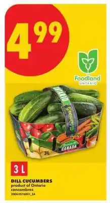 No Frills DILL CUCUMBERS offer