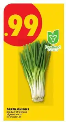 No Frills Green Onions offer