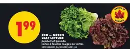No Frills RED or GREEN LEAF LETTUCE offer