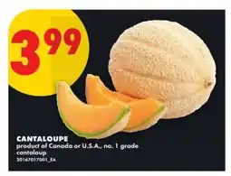 No Frills CANTALOUPE offer