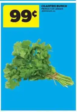 Real Canadian Superstore CILANTRO, bunch offer