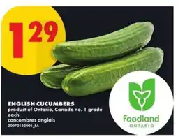 No Frills ENGLISH CUCUMBERS offer