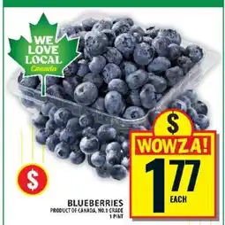 Food Basics Blueberries offer