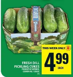 Food Basics Fresh Dill Pickling Cukes offer