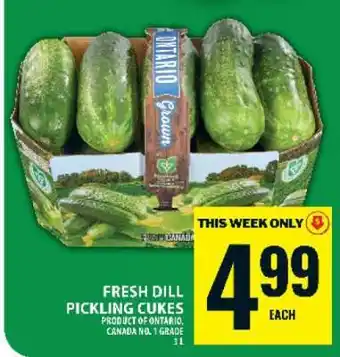 Food Basics Fresh Dill Pickling Cukes offer
