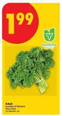 No Frills KALE offer