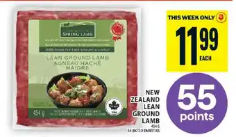 Food Basics New Zealand Lean Ground Lamb offer