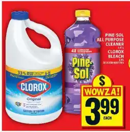 Food Basics Pine-Sol All Purpose Cleaner / Clorox Bleach offer