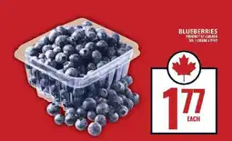 Food Basics Blueberries offer