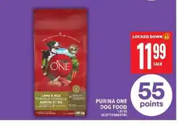 Food Basics PURINA ONE DOG FOOD offer
