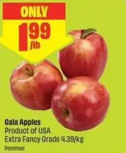 Chalo FreshCo Gala Apples offer