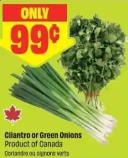 Chalo FreshCo Cilantro or Green Onions offer