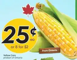Sobeys Yellow Corn offer