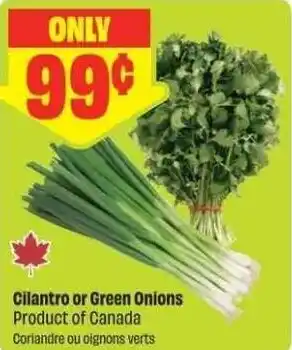 FreshCo Cilantro or Green Onions offer