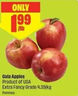 FreshCo Gala Apples offer