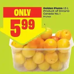 FreshCo Golden Plums offer
