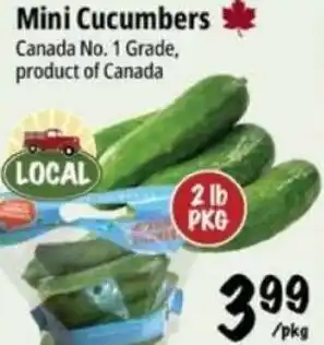 Farm Boy Mini Cucumbers offer
