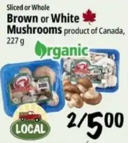 Farm Boy Sliced or Whole Brown or White Mushrooms offer