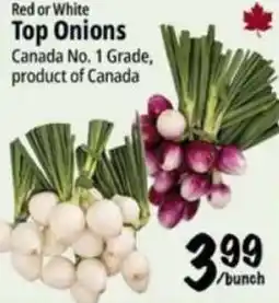Farm Boy Red or White Top Onions offer