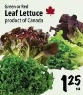 Farm Boy Green or Red Leaf Lettuce offer