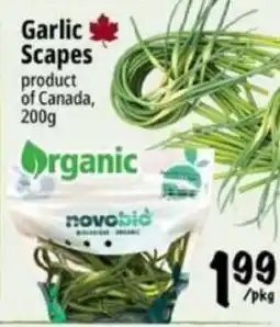 Farm Boy Garlic Scapes offer