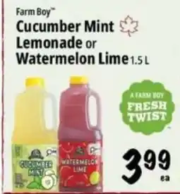 Farm Boy Farm Boy Cucumber Mint Lemonade or Watermelon Lime offer