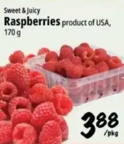 Farm Boy Sweet & Juicy Raspberries offer